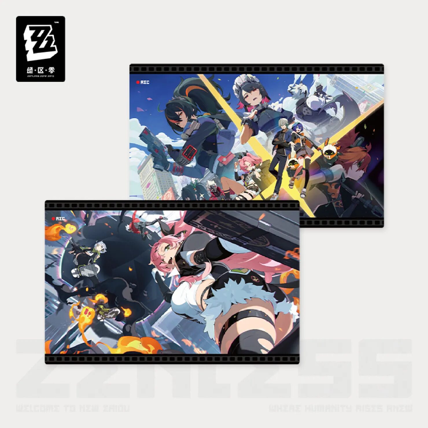 zenzero-goods-2025-0704-goods381