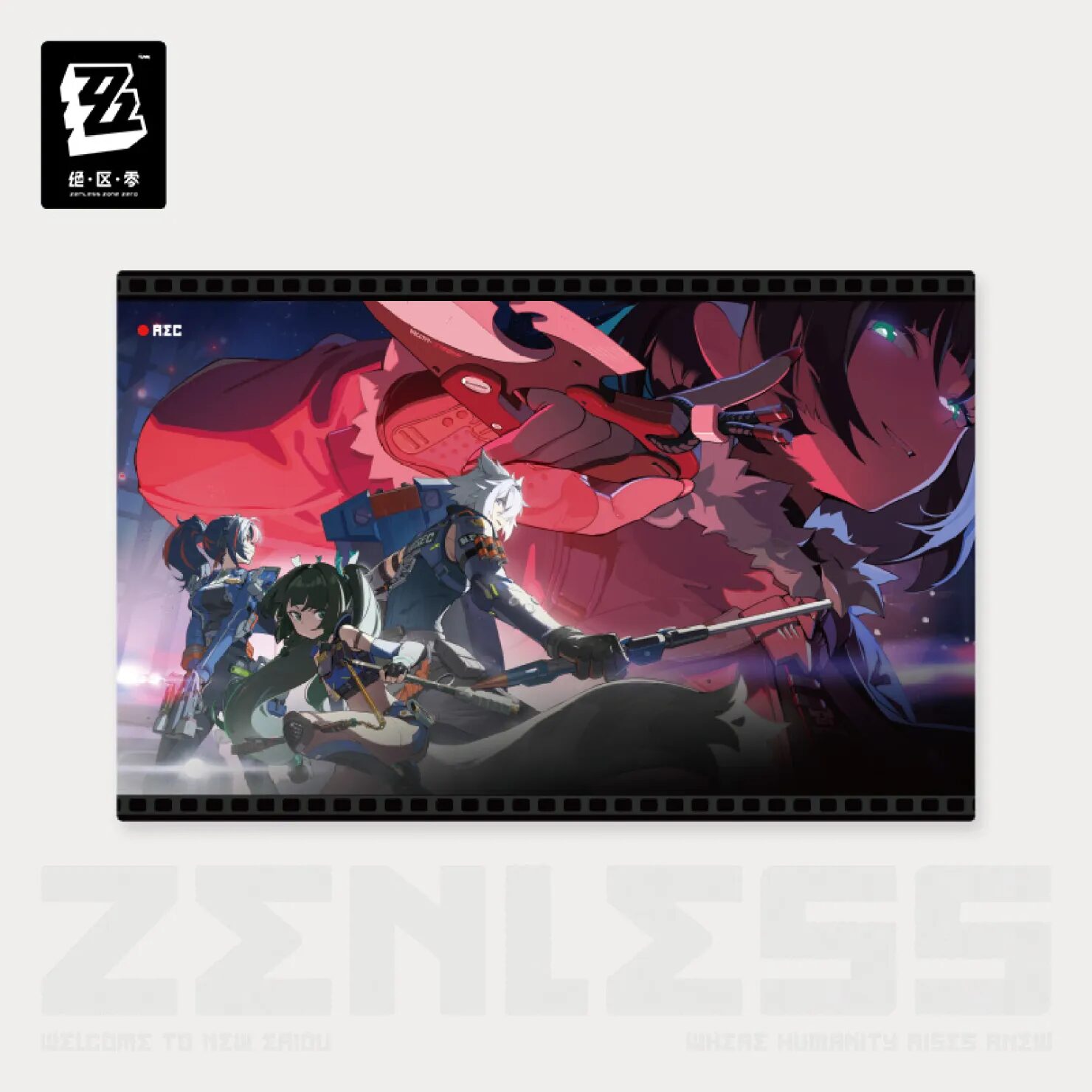 zenzero-goods-2025-0704-goods391