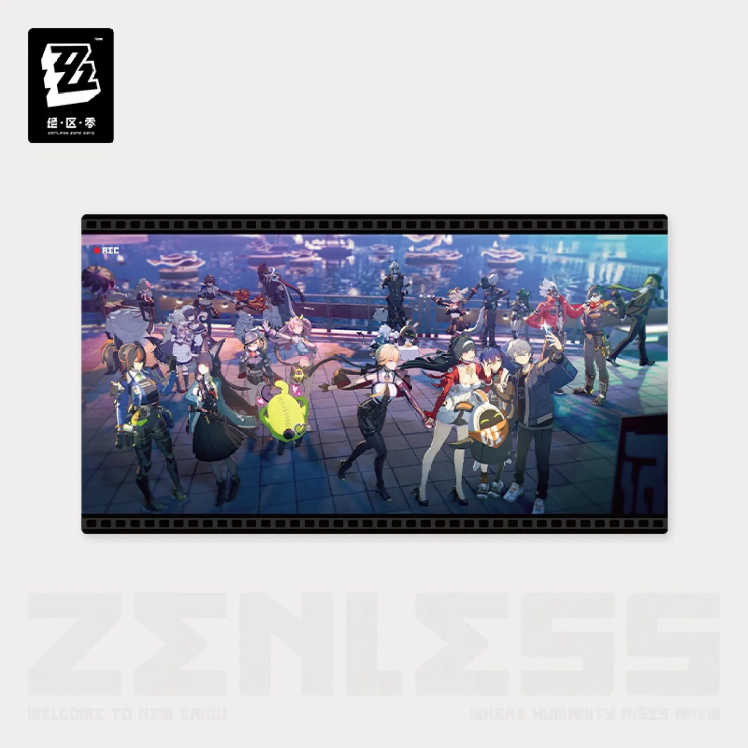 zenzero-goods-2025-0704-goods613